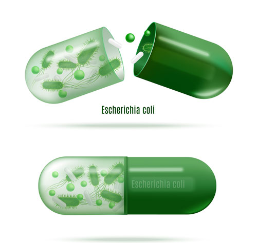 益生菌的作用与功效