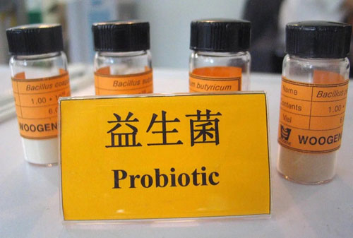 男性喝益生菌饮料需要空腹吗