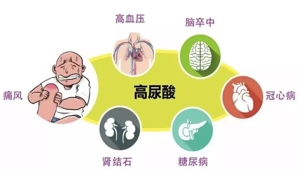 国家卫生健康委办公厅发布《高尿酸血症营养和运动指导原则（2024年版）》